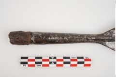 Foto von Eisenlanzenspitze (NHMW-PRAE-002269)